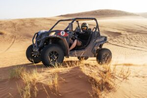 Buggy sundown desert