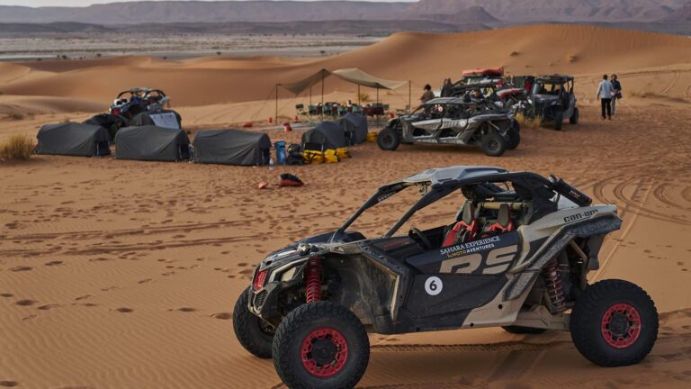 JOHN STAPELS 1532 JS907614