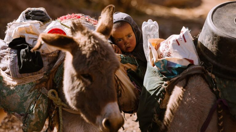 Tyler Ravelle Marruecos 4485