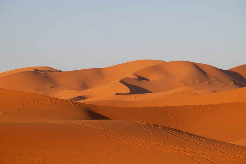 2025 Marokko 4455 bewerkt 61